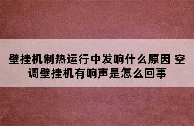 壁挂机制热运行中发响什么原因 空调壁挂机有响声是怎么回事